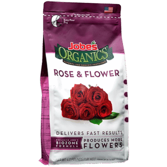 Gluten-free Powder